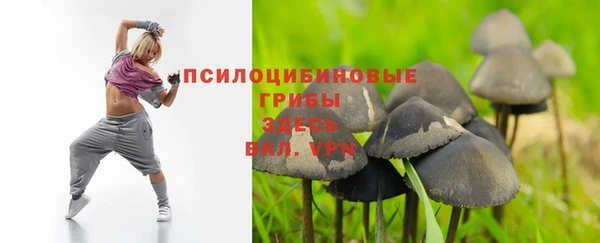 MDMA Premium VHQ Пролетарск