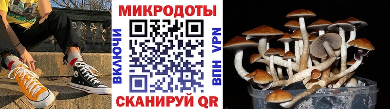 дарнет шоп  Выкса  darknet наркотические препараты  Галлюциногенные грибы Cubensis 