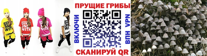 Псилоцибиновые грибы GOLDEN TEACHER Выкса